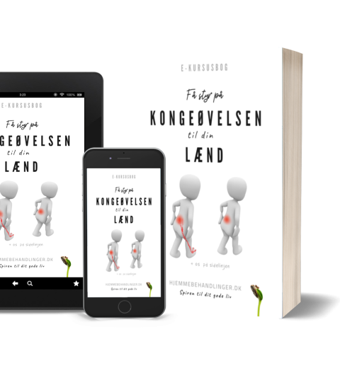 Kongeøvelsen